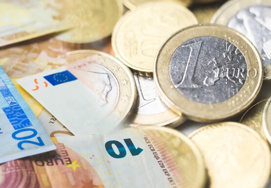 Euro: Romania nu indeplineste conditiile - Evaluare CE