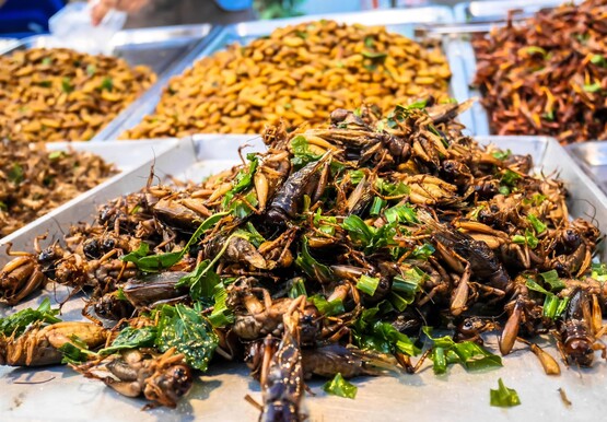 Singapore a aprobat 16 specii de insecte pentru consumul uman